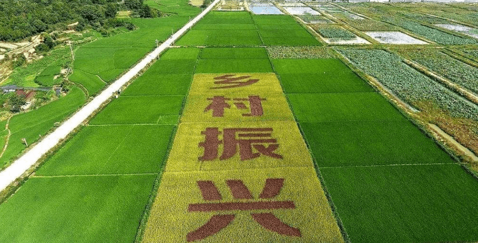 人民日報“鄉(xiāng)村振興計劃”為何看上他？_直播_行業(yè)_農產品